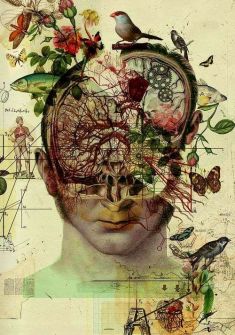 2b9baa2a17983d969a424f38a05fb08e