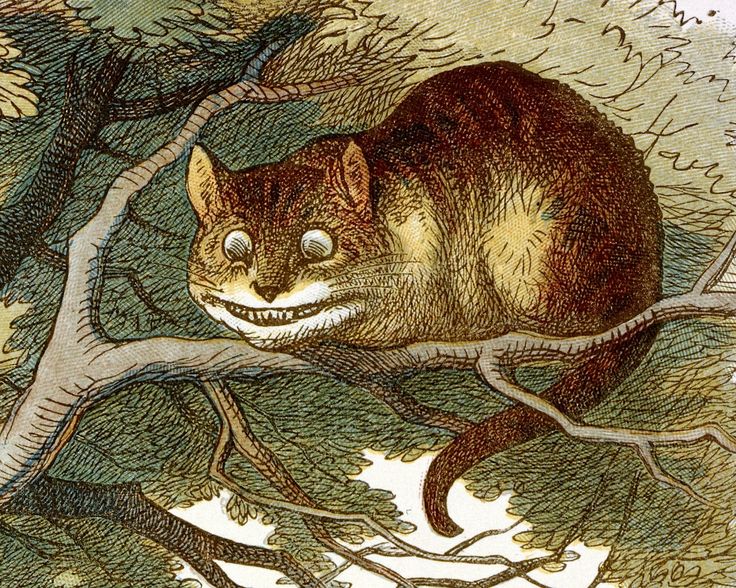 Biografía del gato de Cheshire, por Lorena Caraballo – Digopalabra.txt, image size:736x588