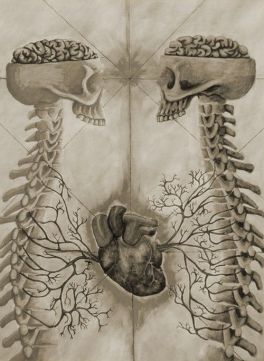 Imagen obtenida aquí