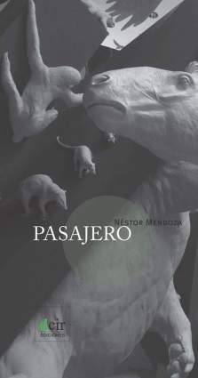 Pasajero Nestor Mendoza