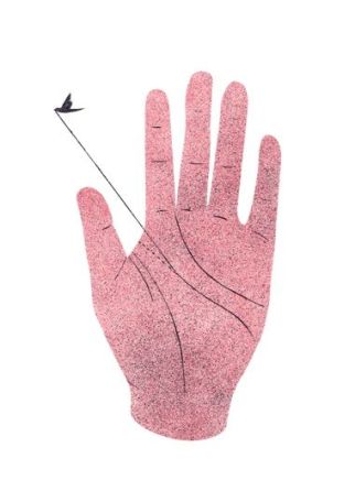 Imagen obtenida aquí