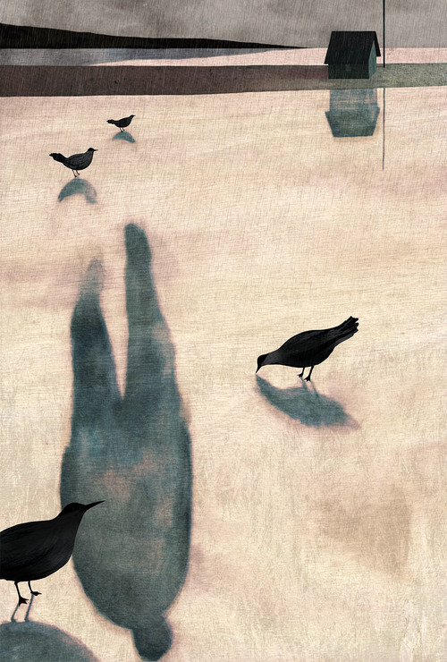 A+Tale+of+An+Empty+House